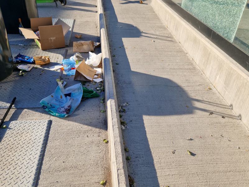 Miljørydding og oppfølging av uteområde